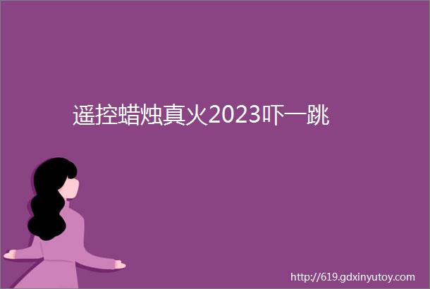 遥控蜡烛真火2023吓一跳