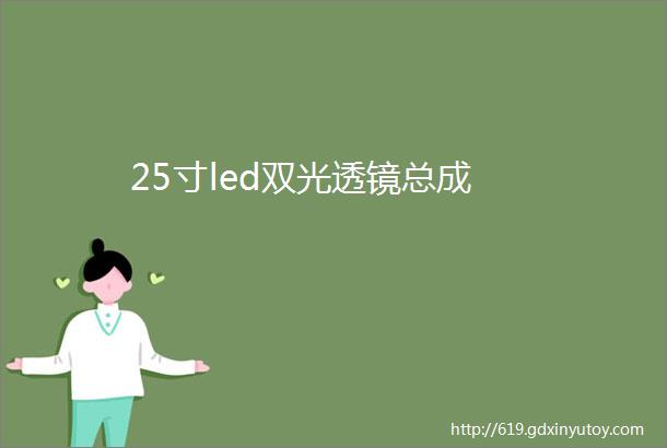 25寸led双光透镜总成